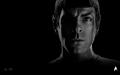 Wallpaper Star Trek Portrait Spock