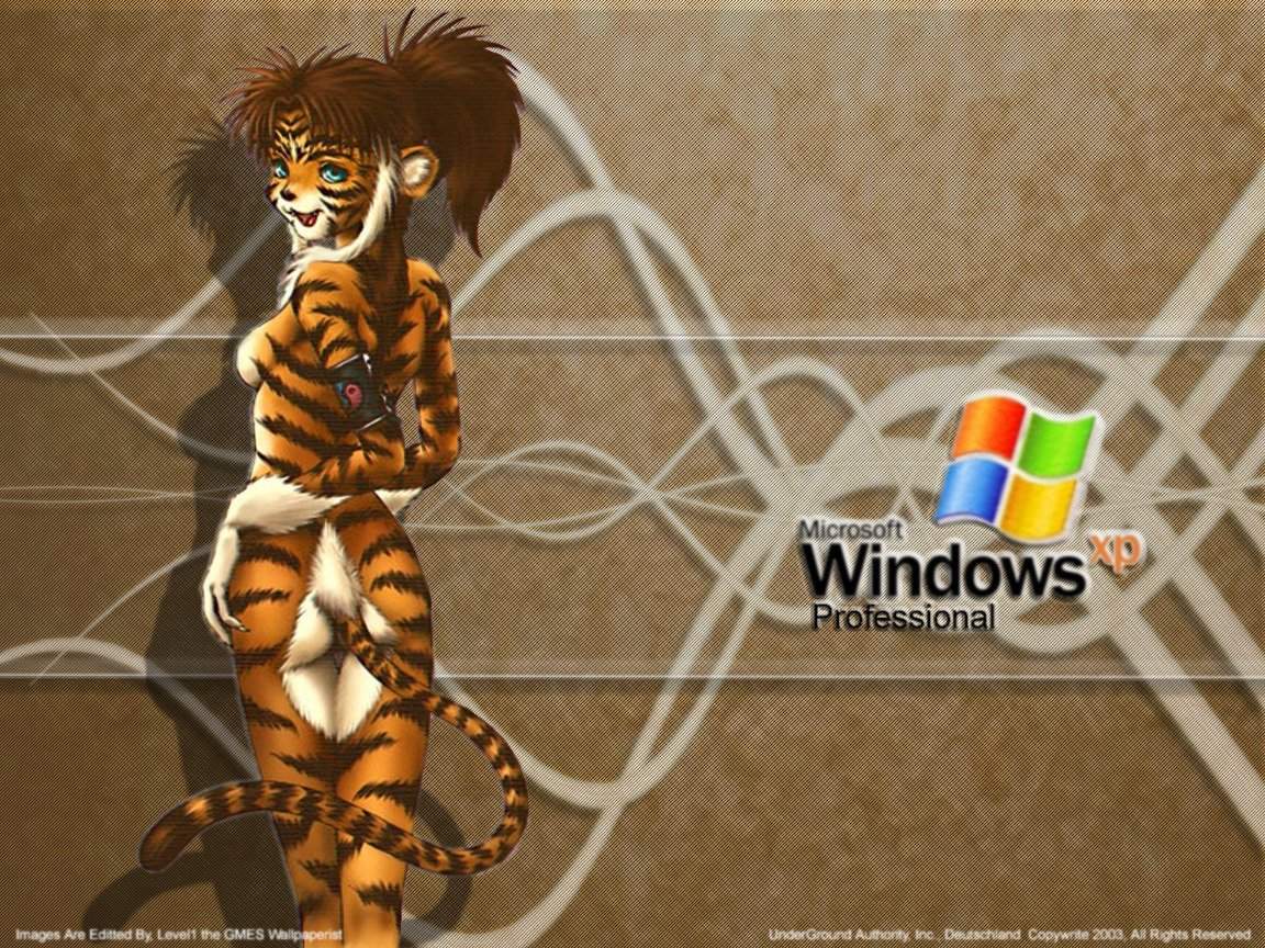 Wallpaper Theme Windows XP tigresse