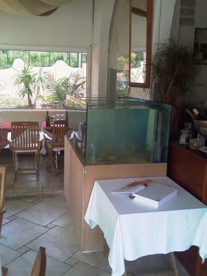 Binett des homards dans ce restaurant italien de Ste Maxime ...
