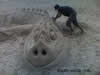 Kreativ Sand Sculptures Stan Wilk