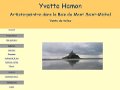 Yvette Hamon, artiste-peintre dans la baie du Mont Saint-Michel